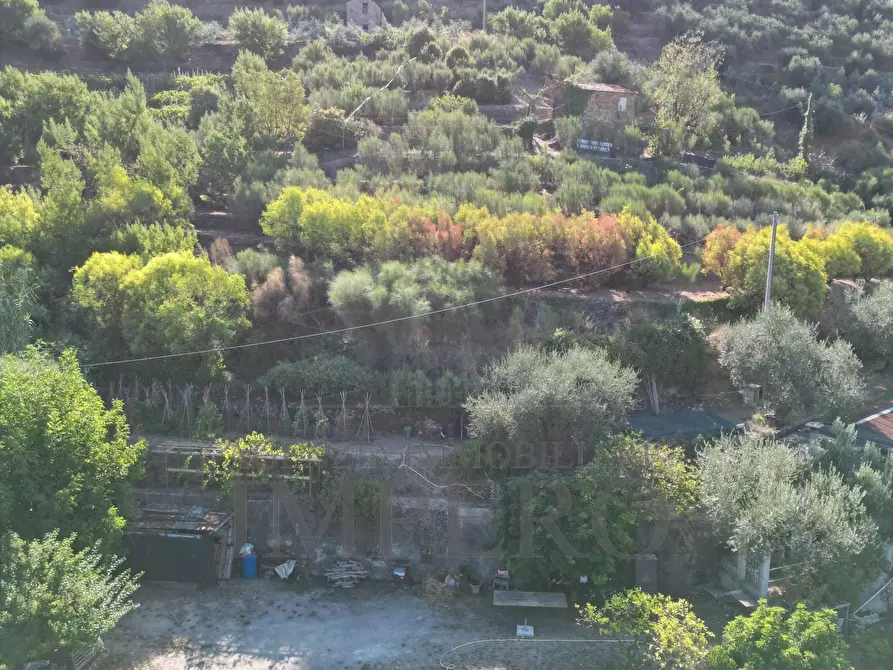 Immagine 9 di Terreno agricolo in vendita  in via provinciale 44 a San Biagio Della Cima