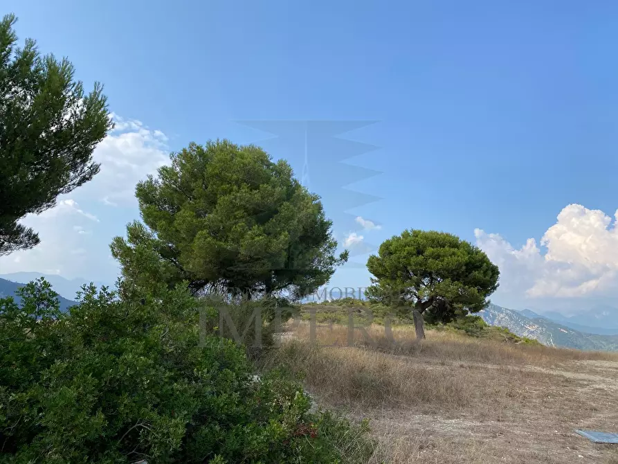Immagine 12 di Terreno agricolo in vendita  in Via alla Stazione 40 a Ventimiglia