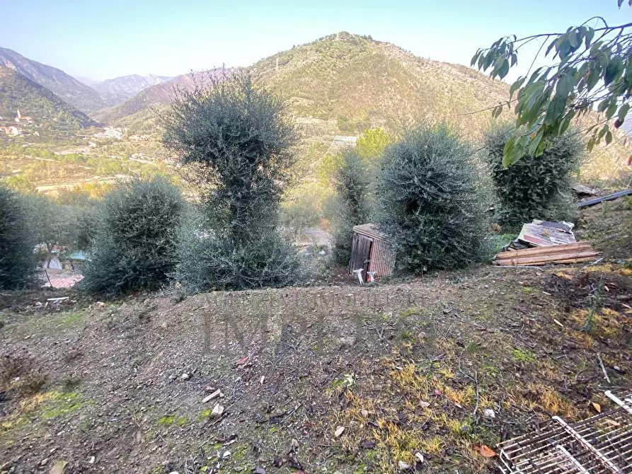 Immagine 26 di Casa indipendente in vendita  in Via Umberto Lorenzi a Ventimiglia