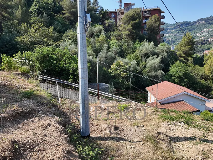 Immagine 26 di Terreno agricolo in vendita  in Corso Limone Piemonte a Ventimiglia
