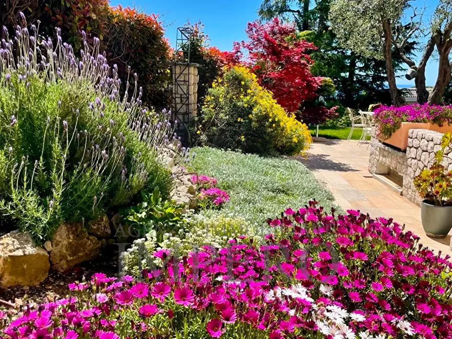 Immagine 5 di Villa in vendita  in Via Iride 155 a Bordighera