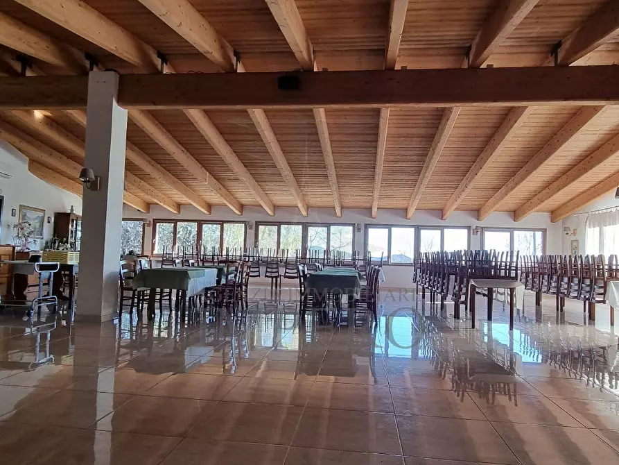 Immagine 9 di Villa in vendita  in Strada Provinciale a Dolceacqua