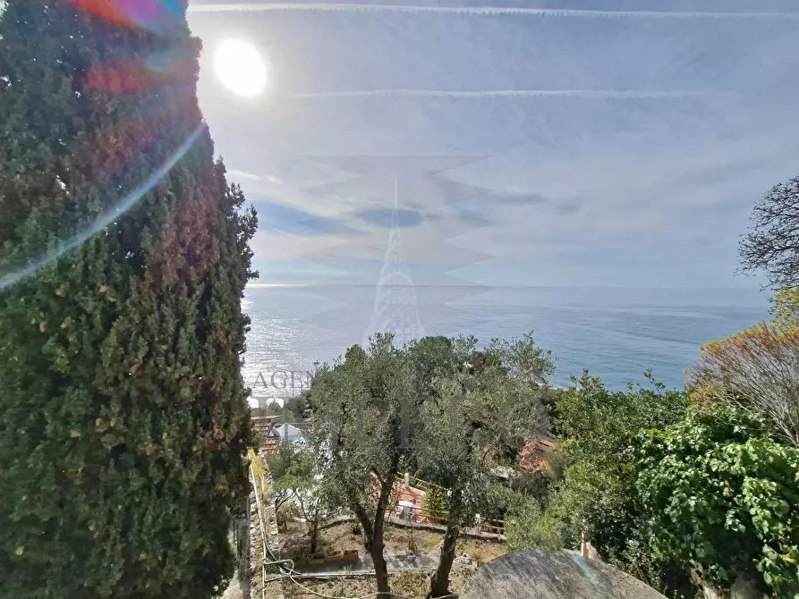 Immagine 5 di Villa in vendita  in Corso Mentone 2 a Ventimiglia