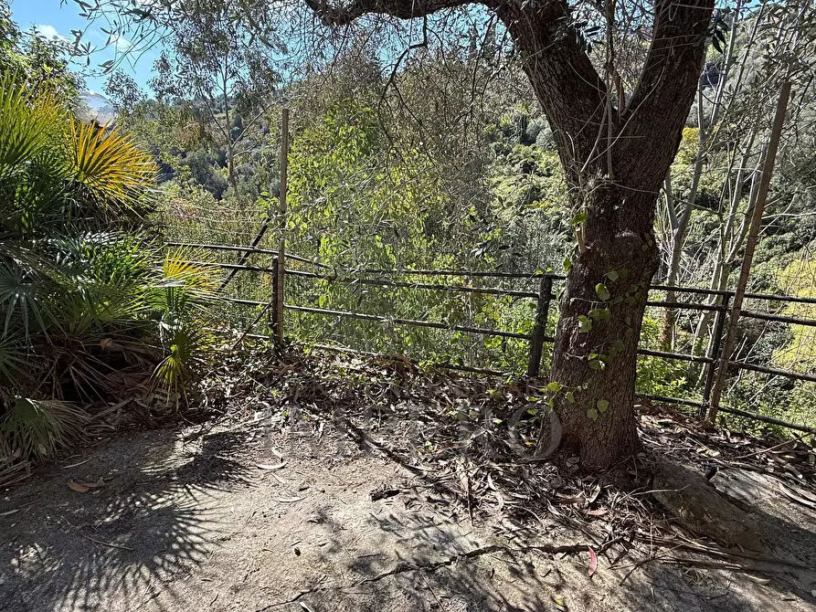 Immagine 35 di Casa indipendente in vendita  in Via Silvio Pellico a Bordighera