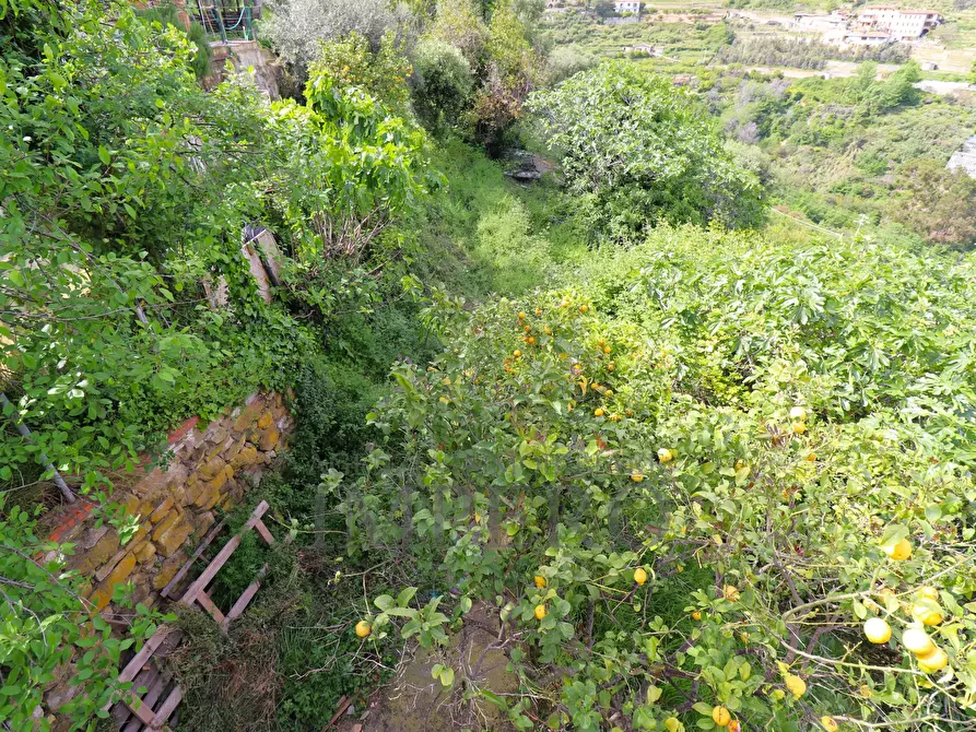 Immagine 18 di Porzione di casa in vendita  in Via L. Alborno 101B a Ventimiglia
