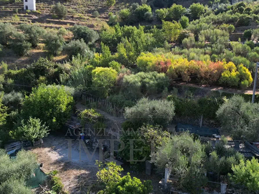 Immagine 10 di Terreno agricolo in vendita  in via provinciale 44 a San Biagio Della Cima