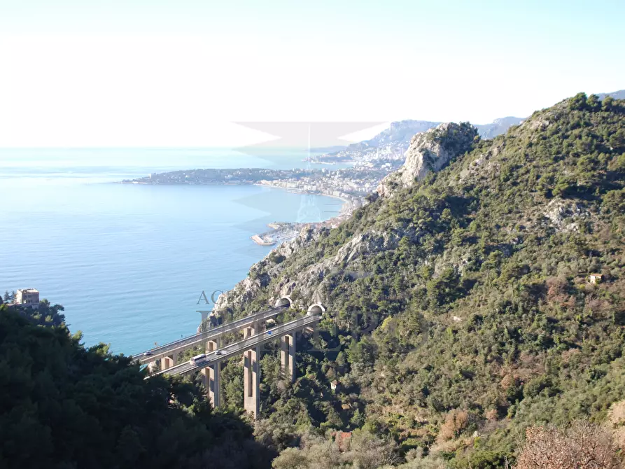 Immagine 1 di Terreno agricolo in vendita  in Via Case Gina 13 a Ventimiglia