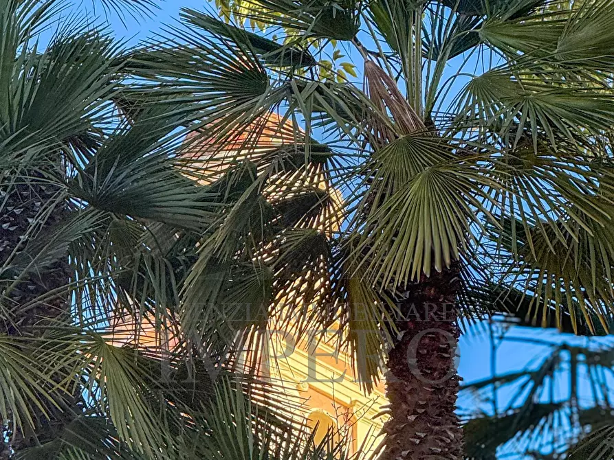 Immagine 13 di Quadrilocale in vendita  in Vico Hanbury 7 a Ventimiglia