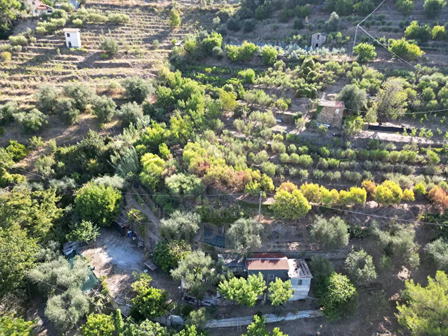 Immagine 2 di Terreno agricolo in vendita  in via provinciale 44 a San Biagio Della Cima