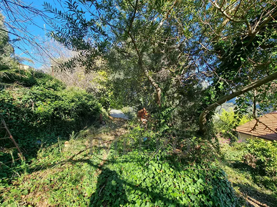 Immagine 38 di Villa in vendita  in Via Fontana 1 a Ventimiglia