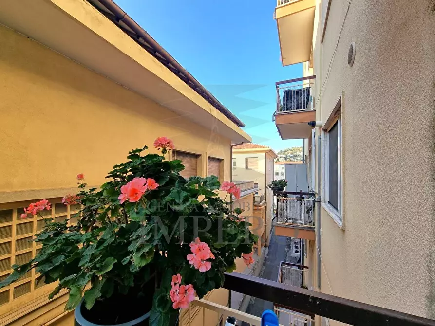 Immagine 18 di Bilocale in vendita  in Via Colonnello Aprosio 486 a Vallecrosia