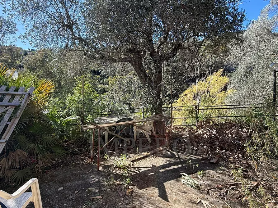 Immagine 11 di Casa indipendente in vendita  in Via Silvio Pellico a Bordighera
