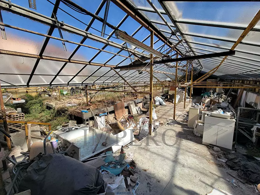 Immagine 22 di Magazzino in vendita  in Strada Statale 1 35 a Camporosso