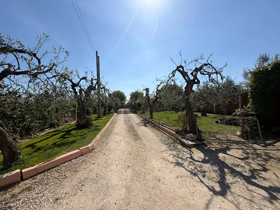 Immagine 1 di Casa indipendente in vendita  in VIALE MAIELLA a Chieti