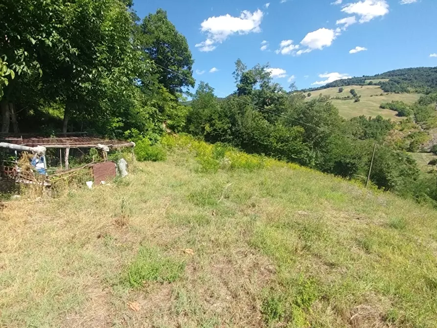 Immagine 8 di Rustico / casale in vendita  in mauro tesi 112 a Zocca