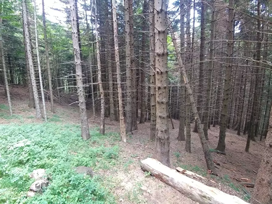 Immagine 28 di Rustico / casale in vendita  in Via Cà Zucchi 1294 a Fanano