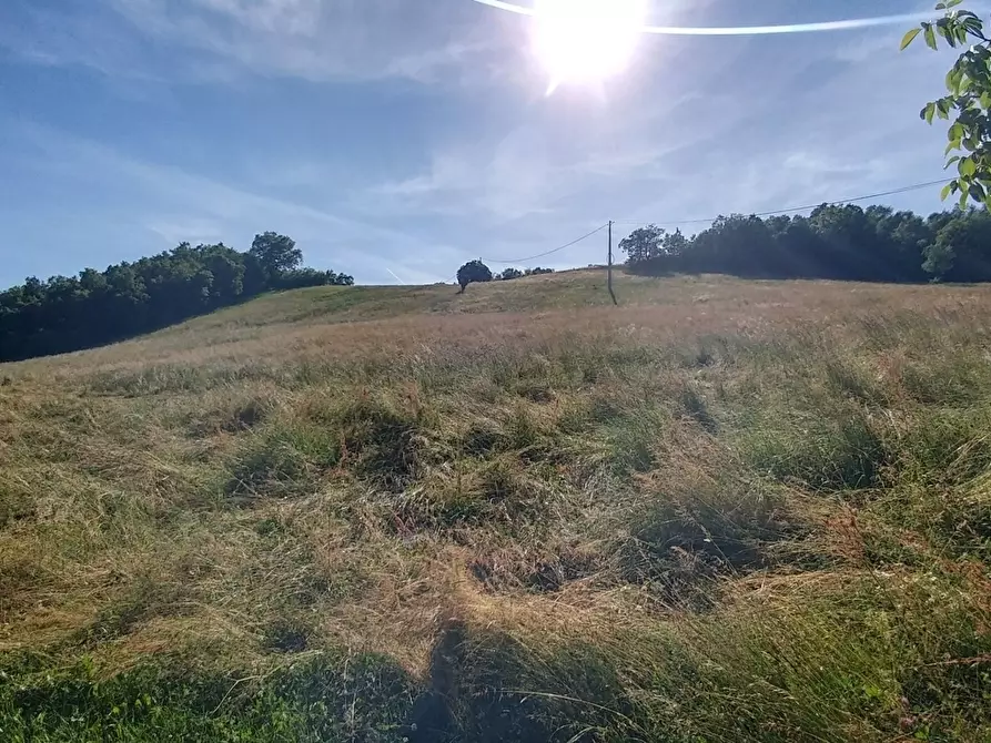 Immagine 45 di Rustico / casale in vendita  in Via Pradalara 168 a Montese