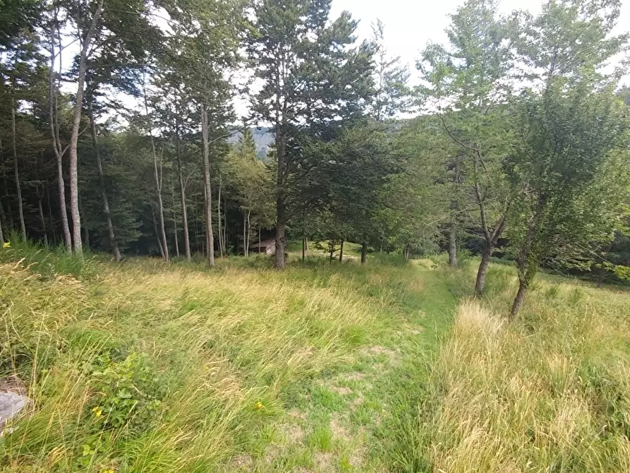 Immagine 34 di Rustico / casale in vendita  in Via Cà Zucchi 1294 a Fanano