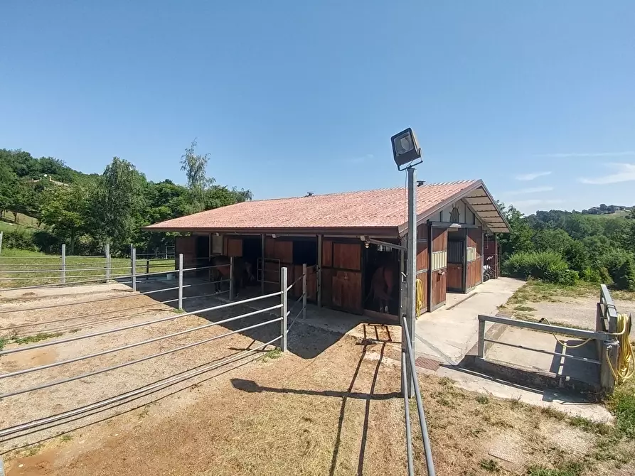 Immagine 40 di Rustico / casale in vendita  in Via Vignolese 1534 a Zocca