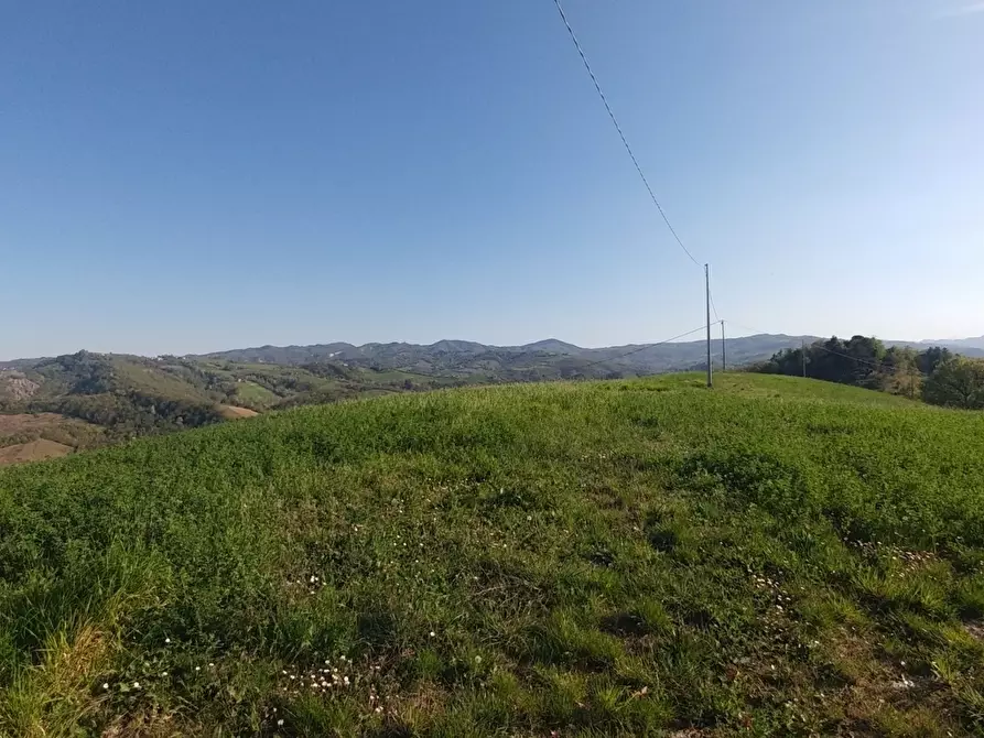 Immagine 6 di Terreno agricolo in vendita  in Via Castello 45 a Monte San Pietro
