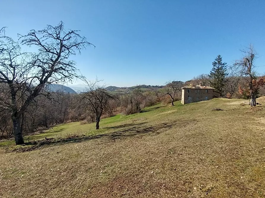 Immagine 3 di Rustico / casale in vendita  a Zocca