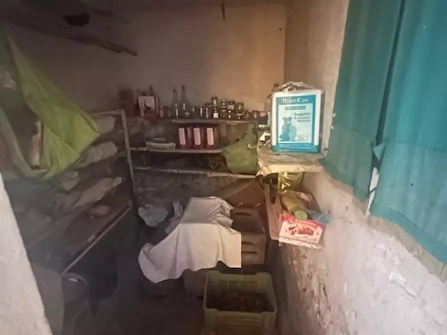 Immagine 25 di Villa in vendita  a Trecenta