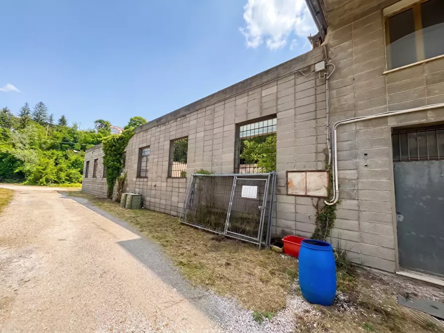 Immagine 1 di Attività artigianale in vendita  in Località Ca' del Vento 211 a Novafeltria