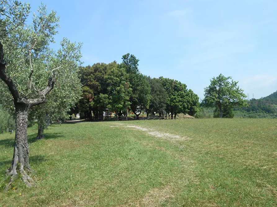 Immagine 12 di Rustico / casale in vendita  in Via per massaciuccoli a San Giuliano Terme