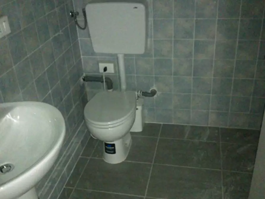 Immagine 3 di Capannone industriale in vendita  in Viale G. Puccini a Lucca