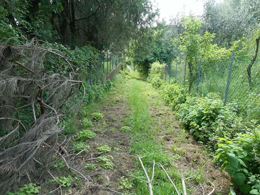 Immagine 14 di Terreno industriale in vendita  in Via Francesco Ferraris a Lucca