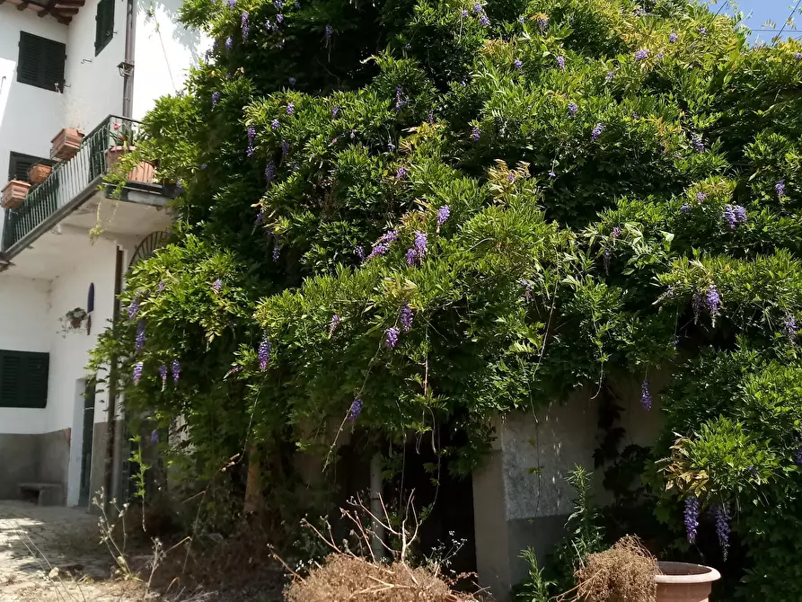 Immagine 13 di Terratetto in vendita  in via di matraia a Lucca