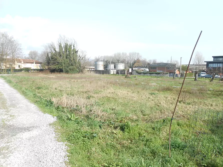 Immagine 20 di Terreno agricolo in vendita  in Via San Donato 925/A a Lucca
