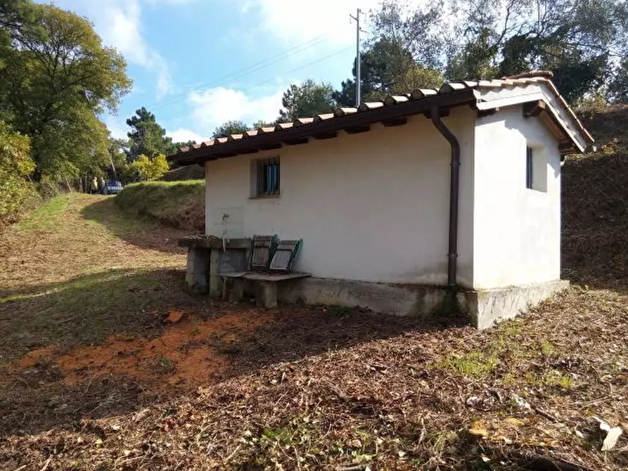 Immagine 23 di Terreno agricolo in vendita  in via di caroggia a Lucca
