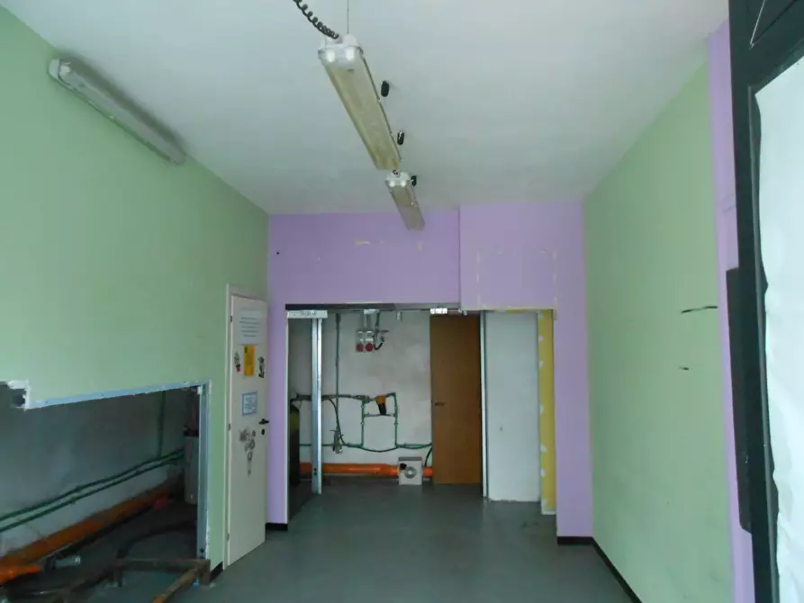 Immagine 11 di Attività artigianale in affitto  in Viale G. Puccini 1803 a Lucca