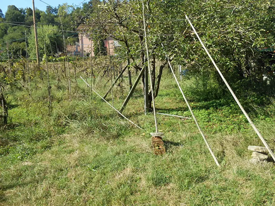 Immagine 31 di Villa in vendita  in Via per Chiatri a Lucca