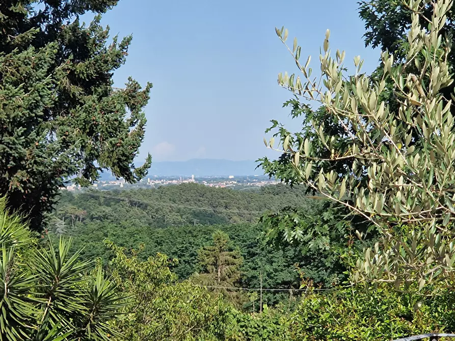 Immagine 75 di Rustico / casale in vendita  in Via Vecchia di Nozzano a Lucca