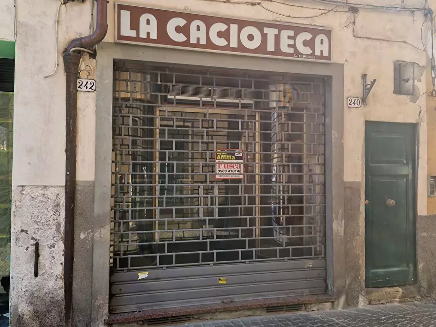 Immagine 1 di Capannone industriale in affitto  in Via Fillungo 233 a Lucca