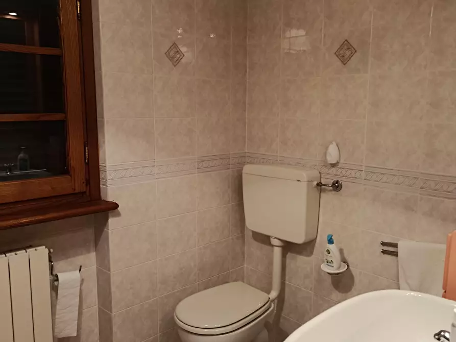 Immagine 19 di Villa in vendita  a Massarosa