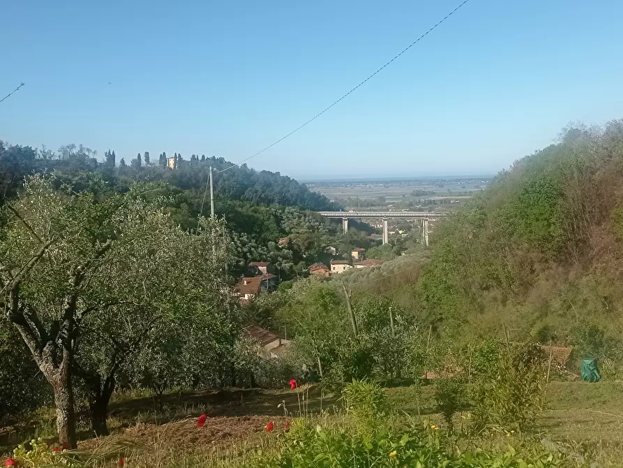 Immagine 2 di Rustico / casale in vendita  a Massarosa