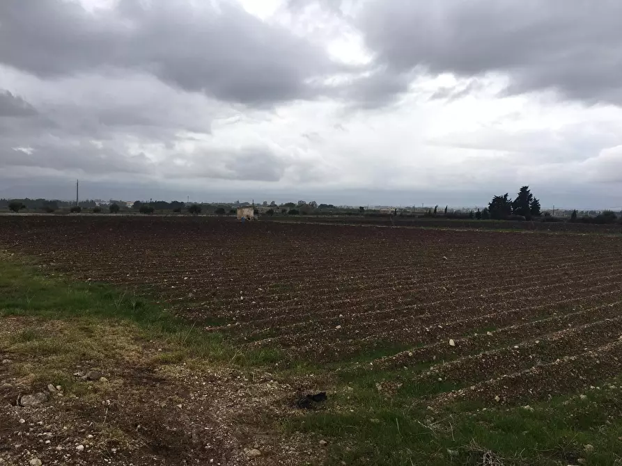 Immagine 1 di Terreno agricolo in vendita  a Siracusa