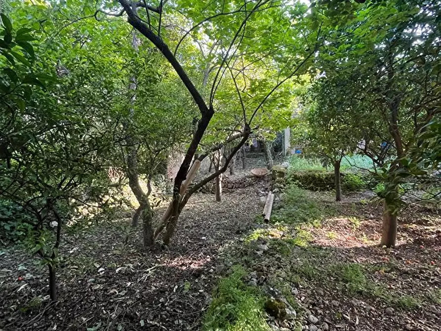 Immagine 49 di Villa in vendita  a Canicattini Bagni