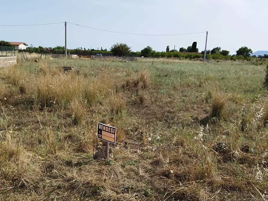 Immagine 2 di Terreno agricolo in vendita  a Siracusa