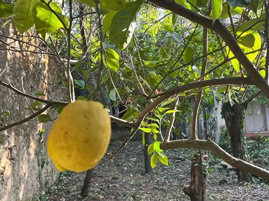 Immagine 31 di Villa in vendita  a Canicattini Bagni