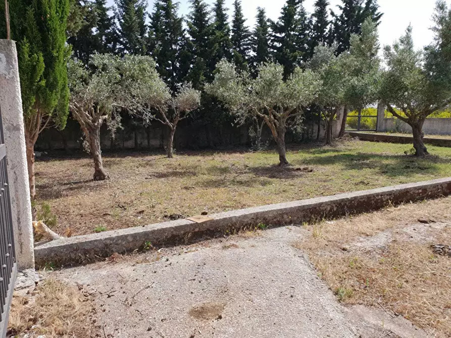 Immagine 6 di Terreno agricolo in vendita  a Siracusa