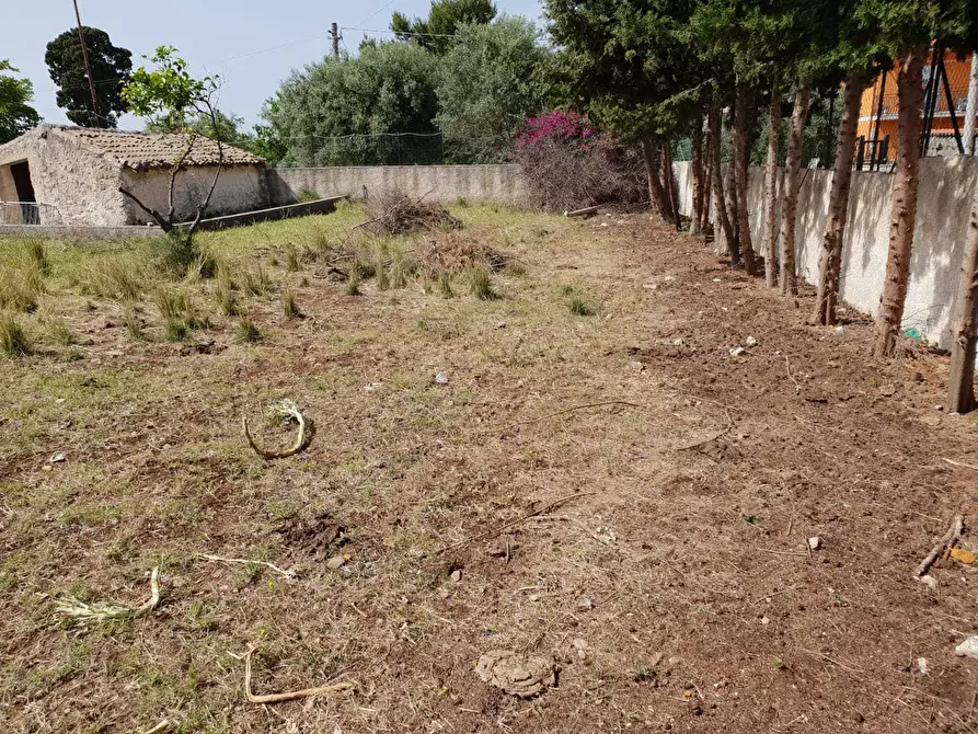 Immagine 5 di Terreno agricolo in vendita  a Siracusa