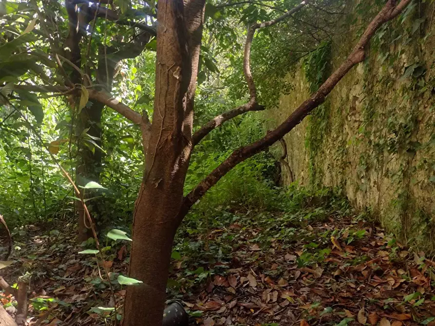 Immagine 11 di Villa in vendita  a Canicattini Bagni