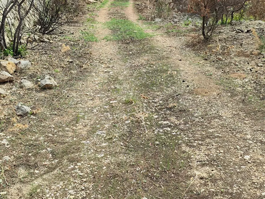 Immagine 5 di Terreno agricolo in vendita  a Melilli
