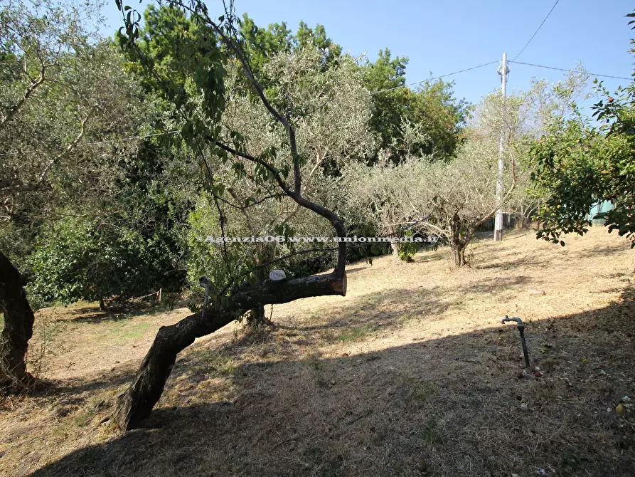 Immagine 25 di Appartamento in vendita  a Arcola