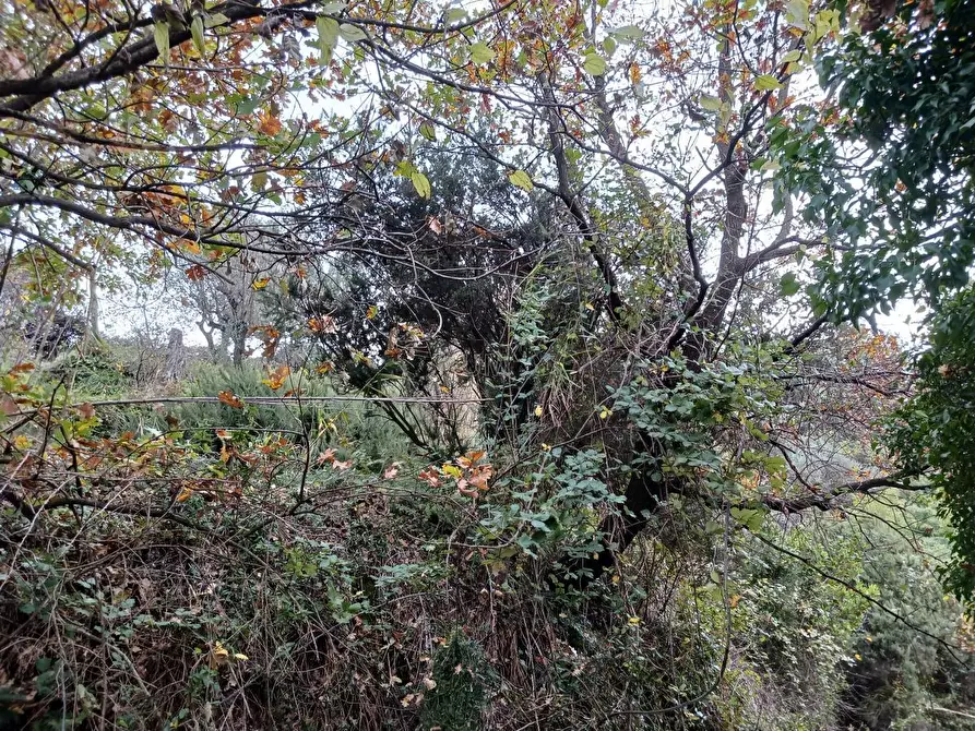 Immagine 13 di Casa indipendente in vendita  a Arcola