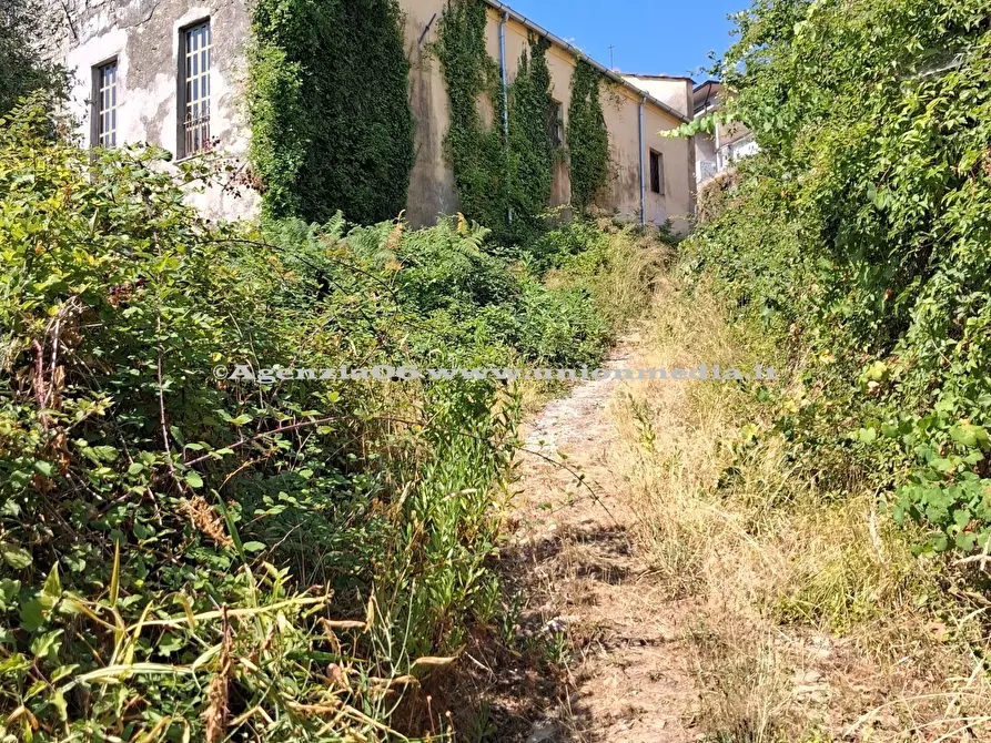 Immagine 5 di Rustico / casale in vendita  a Arcola